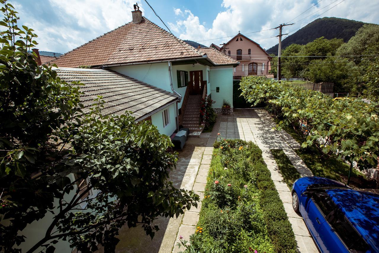 Picturesque Village In Transylvania Răşinari Buitenkant foto